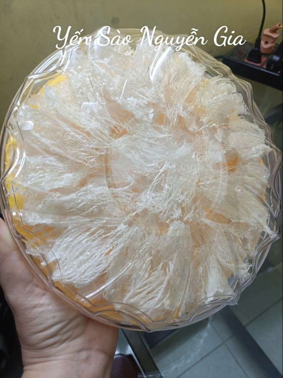 HỘ KINH DOANH YẾN SÀO NGUYỄN GIA