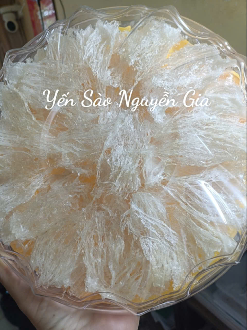 HỘ KINH DOANH YẾN SÀO NGUYỄN GIA