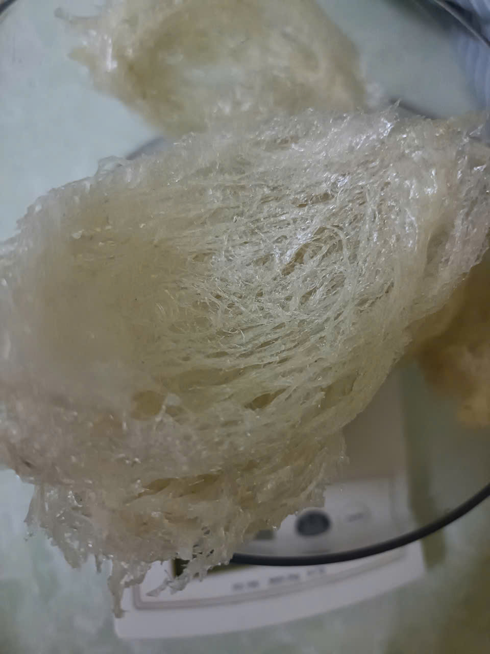 HỘ KINH DOANH YẾN SÀO NGUYỄN GIA