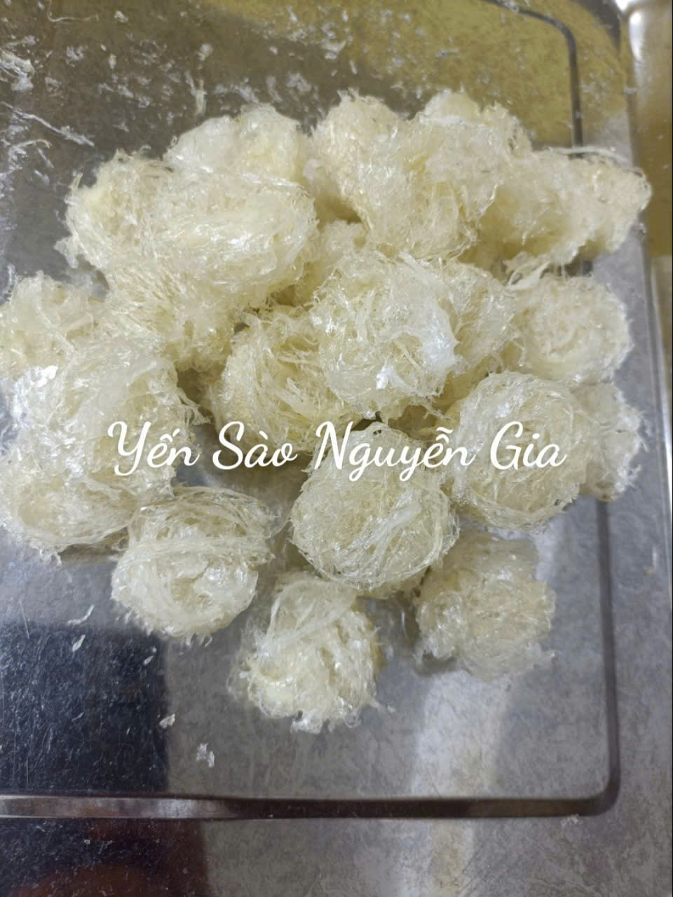 HỘ KINH DOANH YẾN SÀO NGUYỄN GIA